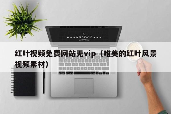 红叶视频免费网站无vip（唯美的红叶风景视频素材）