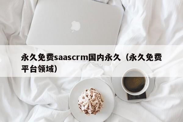 永久免费saascrm国内永久(永久免费平台领域)